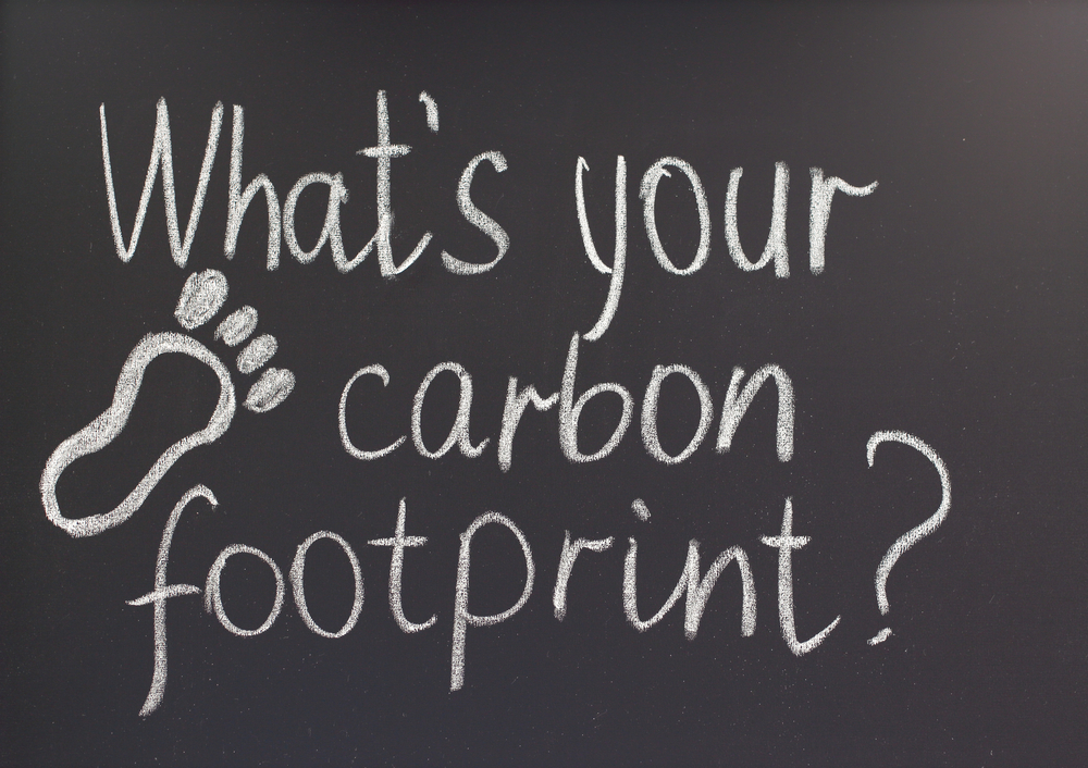 Carbon conscious: How energy efficient is your school?